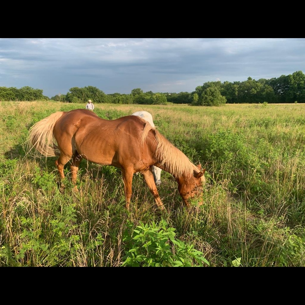 Meet your Posher, Alicia